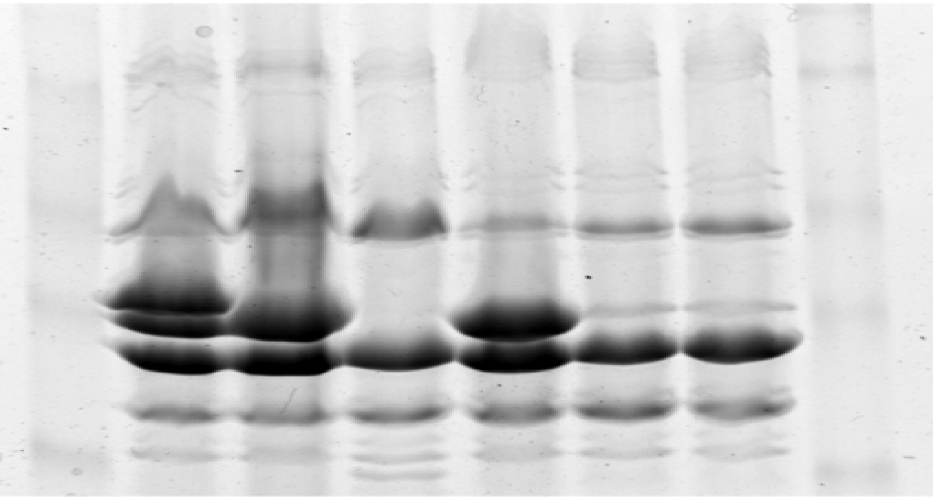 Permeabilidad d emembranas