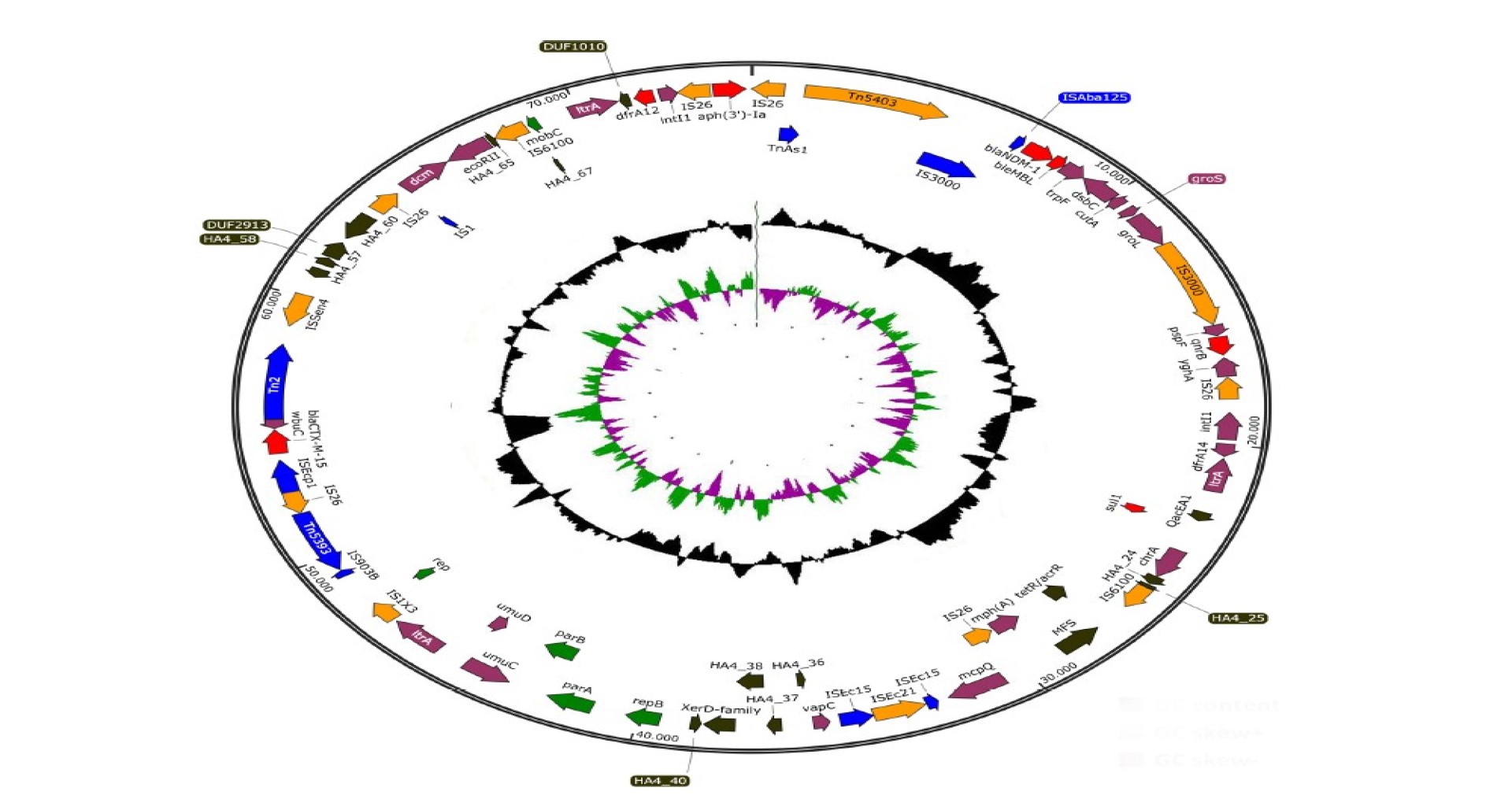 Genes de resistencia