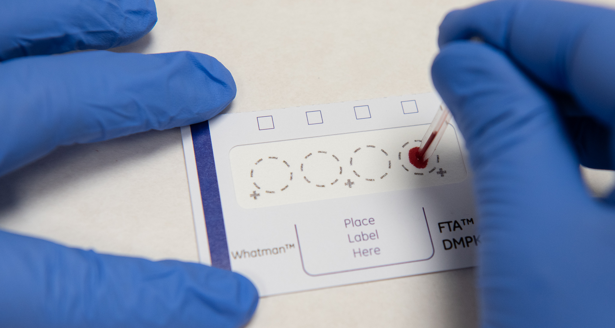 Bioquímica i Genètica Molecular