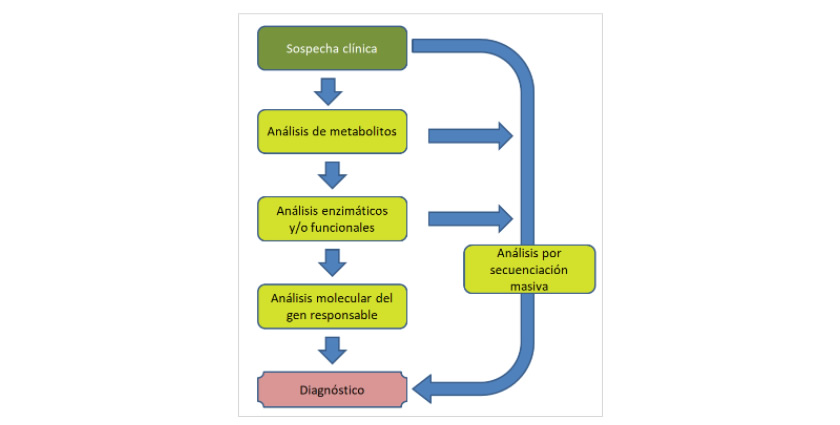 Diagnòstic Bioquímic i Molecular de Malalties Hereditàries